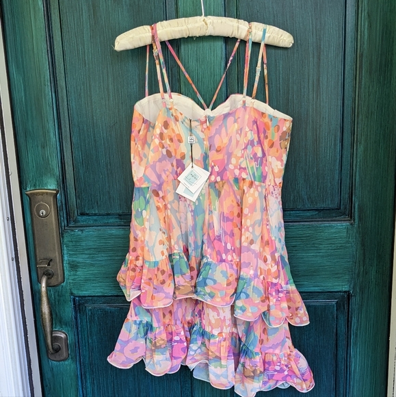 NWT Egreis Tiered Ruffle Corset Babydoll Party Dress - Picture 6 of 10